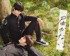 玩遍女网红海报剧照